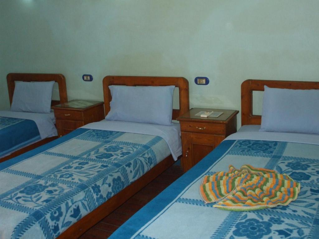 Hostel Luna Cairo Room photo